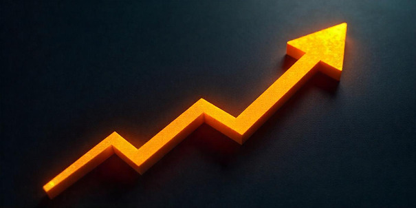 سیستم سازی کسب و کار برای کسب و کار های در حال رشد