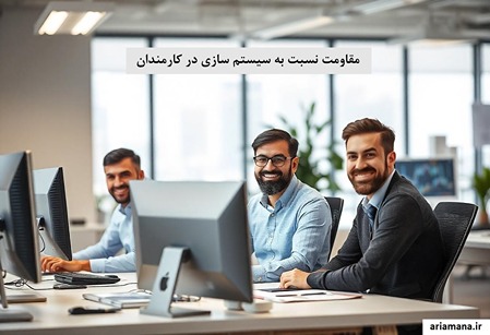 مقاومت نسبت به سیستم سازی